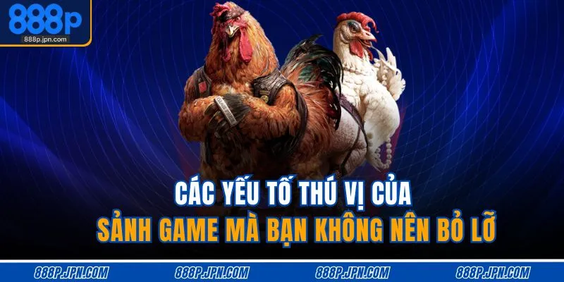 Đá Gà 888P 2 Các yếu tố thú vị của sảnh game mà bạn không nên bỏ lỡ