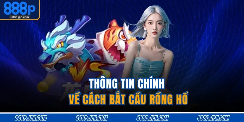Thông tin chính về cách bắt cầu rồng hổ