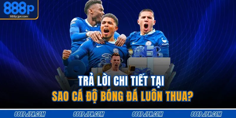 Trả lời chi tiết tại sao cá độ bóng đá luôn thua?